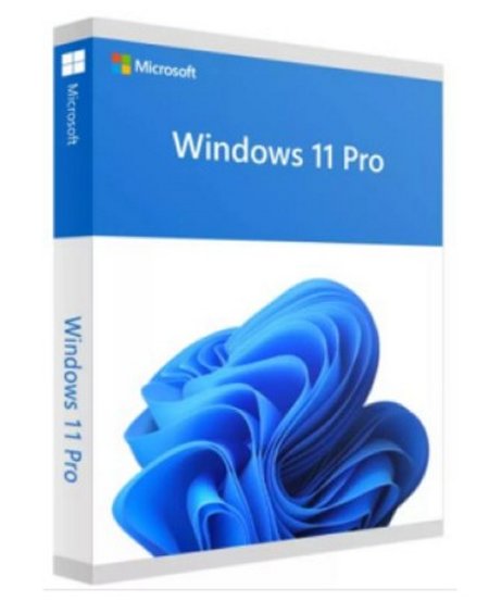 Windows 11 Professional 64 Bit Spanish Latam cloud colombia software
